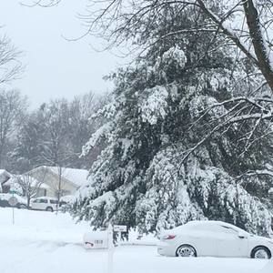 Meet your Posher, Peggy